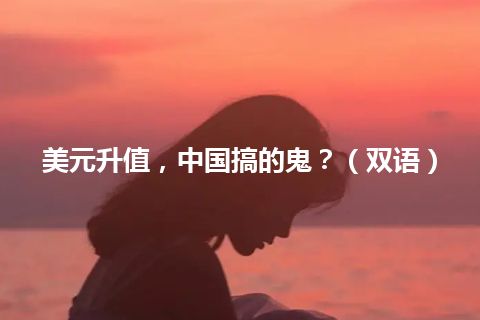 美元升值，中国搞的鬼？（双语）