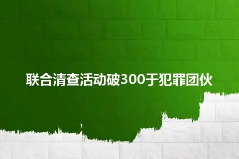 联合清查活动破300于犯罪团伙