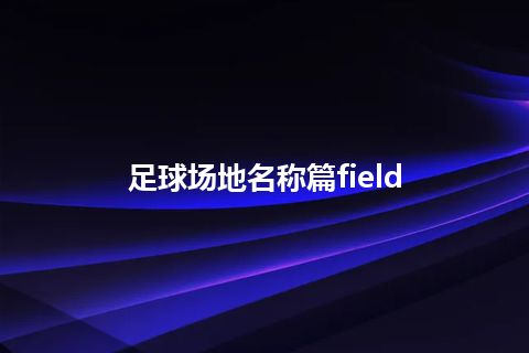 足球场地名称篇field