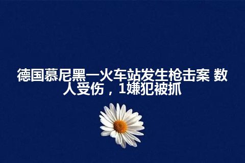 德国慕尼黑一火车站发生枪击案 数人受伤，1嫌犯被抓