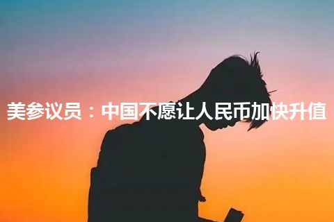 美参议员：中国不愿让人民币加快升值