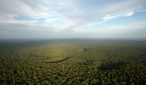 Deforestation in Brazil threatens world’s biggest rainfores