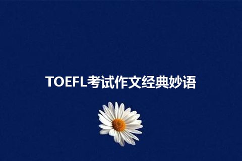 TOEFL考试作文经典妙语