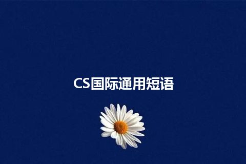 CS国际通用短语