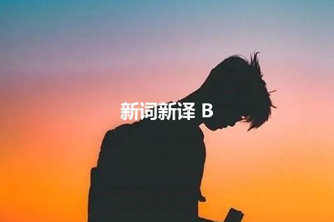 新词新译 B