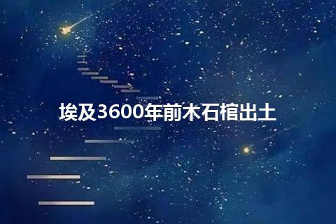 埃及3600年前木石棺出土