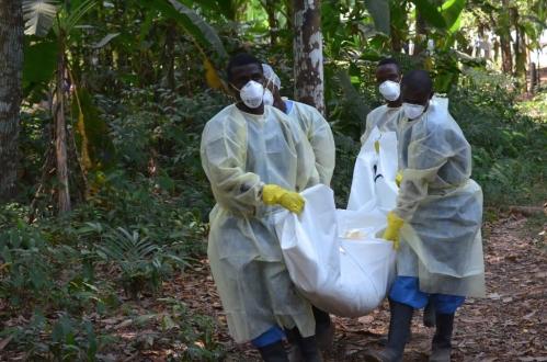 调查显示安全的埋葬方法避免了数千人死于埃博拉病毒