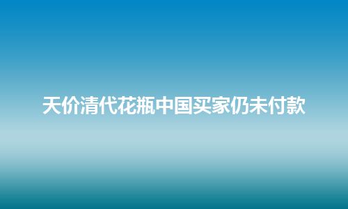 天价清代花瓶中国买家仍未付款