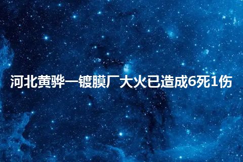 河北黄骅一镀膜厂大火已造成6死1伤