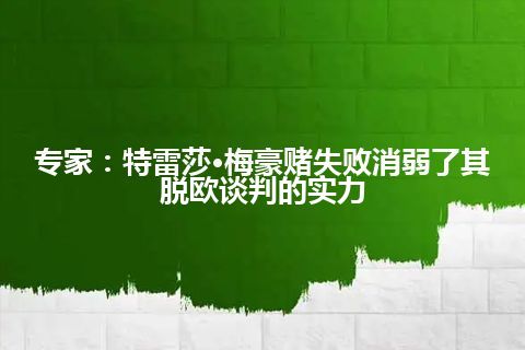 专家：特雷莎·梅豪赌失败消弱了其脱欧谈判的实力