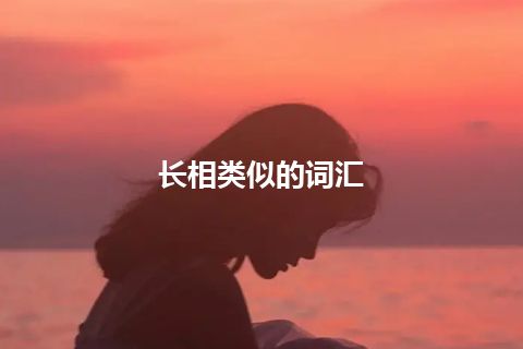 长相类似的词汇