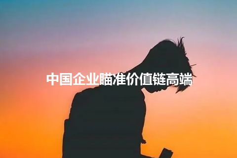 中国企业瞄准价值链高端