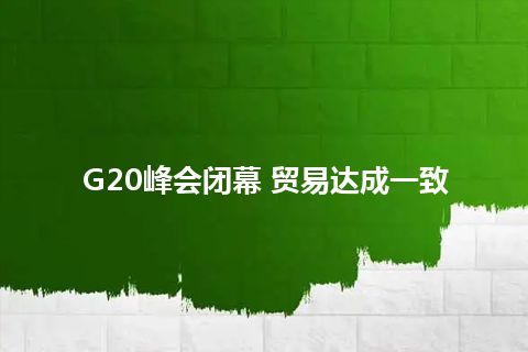 G20峰会闭幕 贸易达成一致