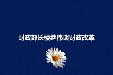 财政部长楼继伟谈财政改革