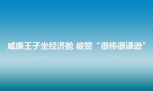 威廉王子坐经济舱 被赞“很棒很谦逊”