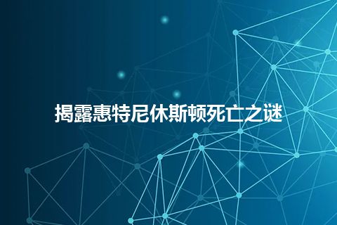 揭露惠特尼休斯顿死亡之谜