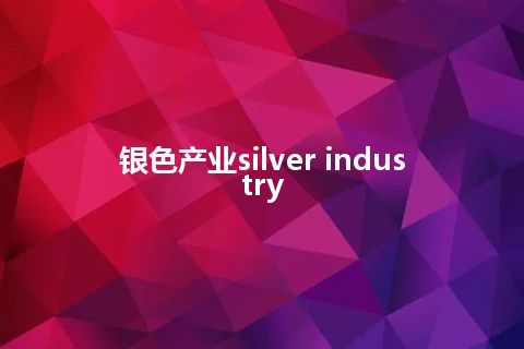 银色产业silver industry