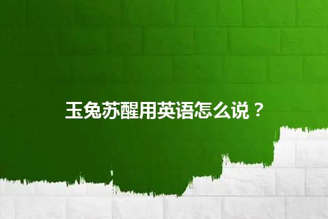 玉兔苏醒用英语怎么说？