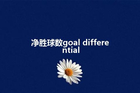 净胜球数goal differential