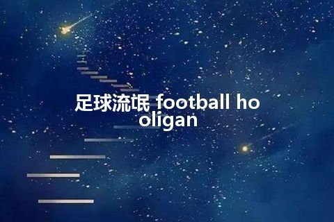 足球流氓 football hooligan