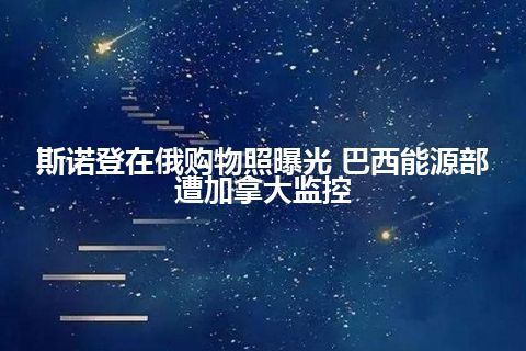 斯诺登在俄购物照曝光 巴西能源部遭加拿大监控