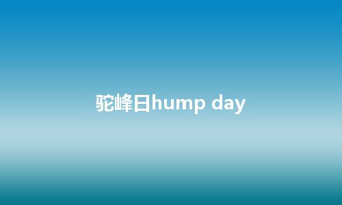 驼峰日hump day