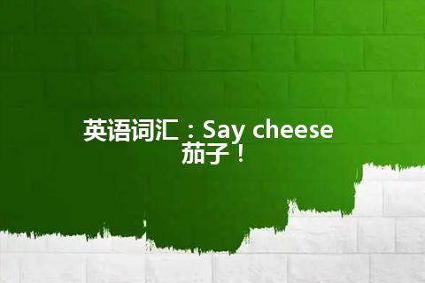 英语词汇：Say cheese 茄子！