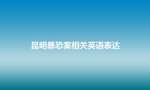 昆明暴恐案相关英语表达