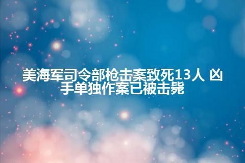 美海军司令部枪击案致死13人 凶手单独作案已被击毙