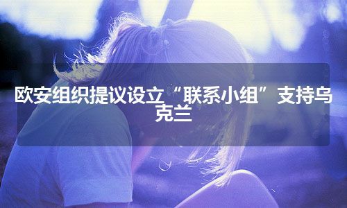 欧安组织提议设立“联系小组”支持乌克兰