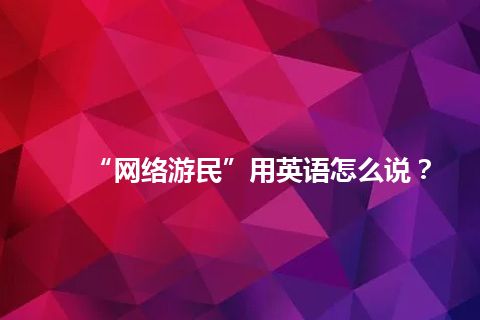 “网络游民”用英语怎么说？