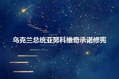 乌克兰总统亚努科维奇承诺修宪