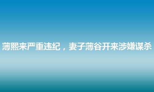 薄熙来严重违纪，妻子薄谷开来涉嫌谋杀