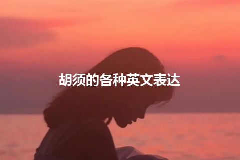 胡须的各种英文表达