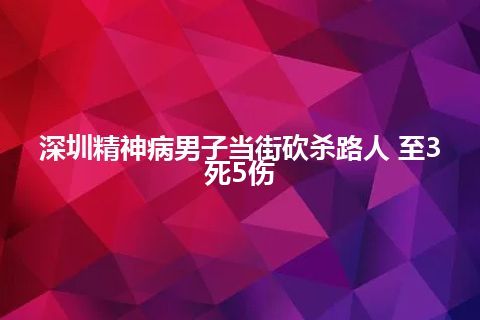 深圳精神病男子当街砍杀路人 至3死5伤