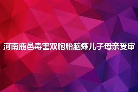 河南鹿邑毒害双胞胎脑瘫儿子母亲受审