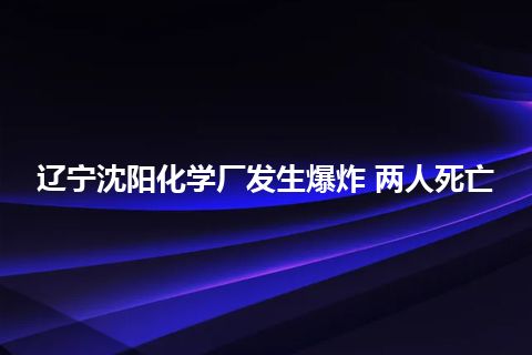 辽宁沈阳化学厂发生爆炸 两人死亡