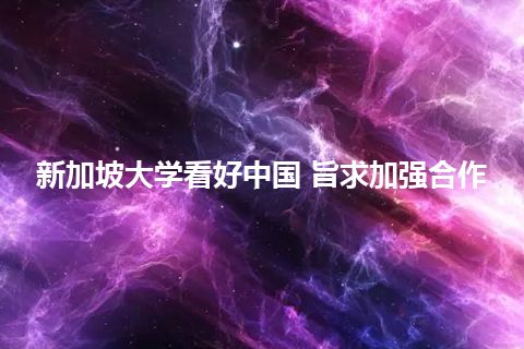 新加坡大学看好中国 旨求加强合作