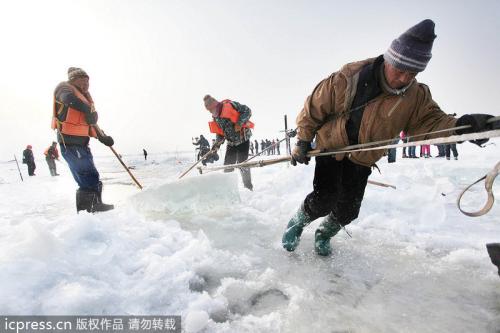 哈尔滨国际冰雪节将近 上千人松花江上凿冰