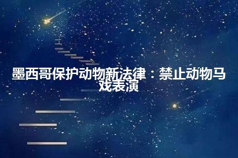 墨西哥保护动物新法律：禁止动物马戏表演