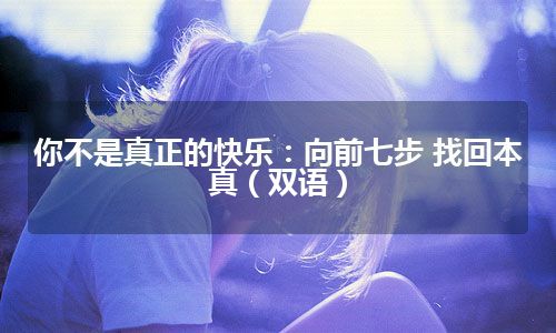 你不是真正的快乐：向前七步 找回本真（双语）