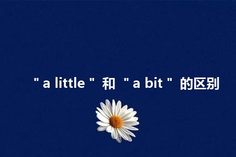 ＂a little＂ 和 ＂a bit＂ 的区别