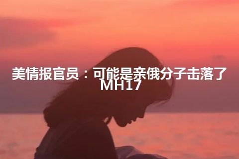 美情报官员：可能是亲俄分子击落了MH17