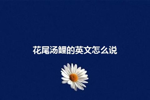 花尾汤鲤的英文怎么说