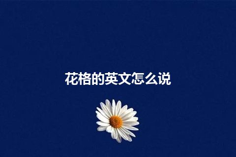 花格的英文怎么说