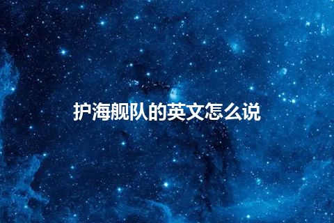 护海舰队的英文怎么说