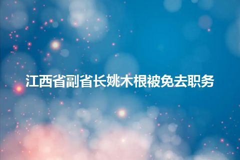 江西省副省长姚木根被免去职务