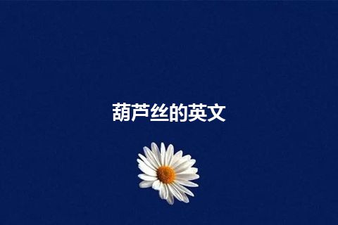 葫芦丝的英文