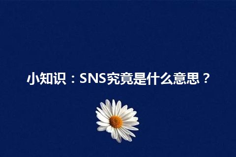 小知识：SNS究竟是什么意思？