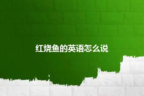 红烧鱼的英语怎么说